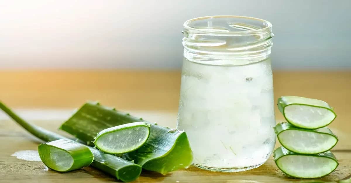 Napój z aloesu: Poznaj jego moc, wybierz mądrze i zrób sam